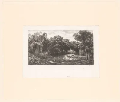 Herten aan de rand van een vijver in het bos