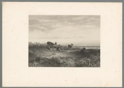 Herten in een landschap