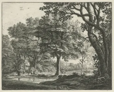 Herten in het Haagse Bos
