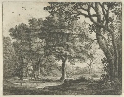 Herten in het Haagse Bos