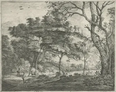 Herten in het Haagse Bos
