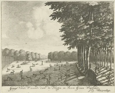 Hertenkamp van Paleis Soestdijk