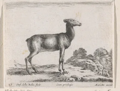Hertje
