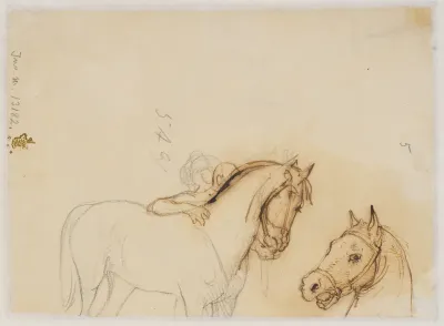 Hest og hestehoved
