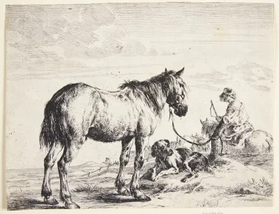 Hest tøjret til en pæl