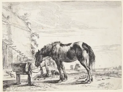 Hest tøjret til et fodertrug