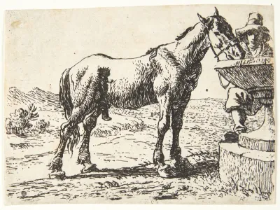 Hest ved en brønd