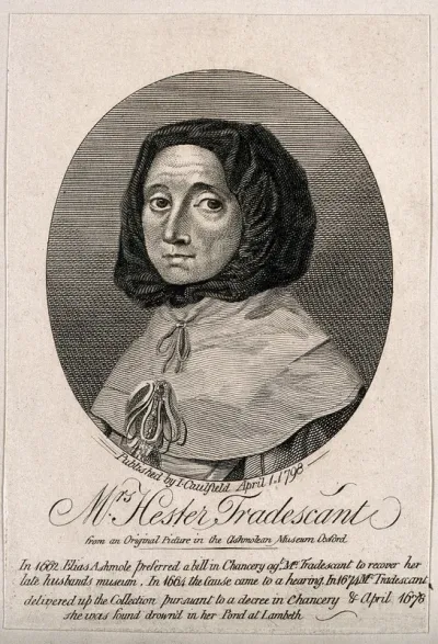 Hester Tradescant