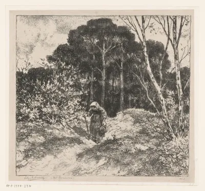 Het boschpad