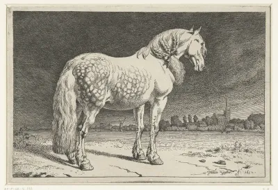 Het Friese paard