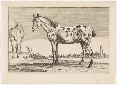Het gecoupeerde paard