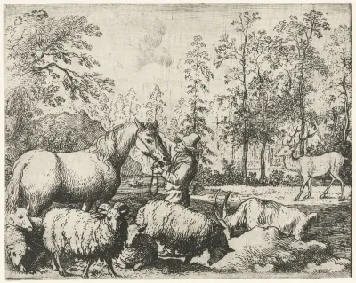 Het jaloerse paard