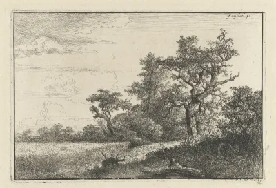 Het korenveld