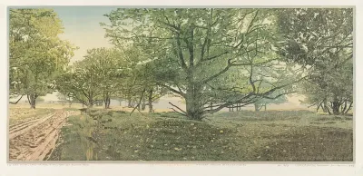 Het Leggelderveld, pad over de hei, langs de oude eiken, naar het Blauwe Meer