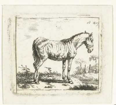 Het oude paard