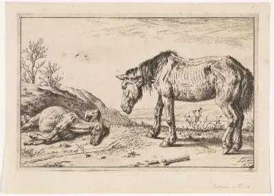 Het stervende paard