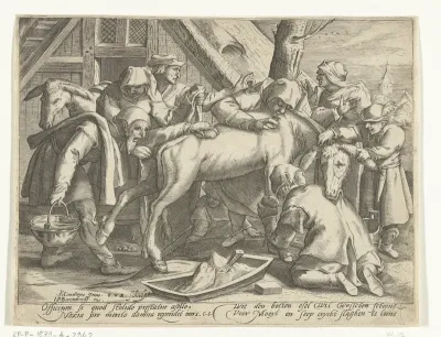 Het wassen van de ezel