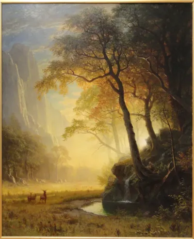 Hetch Hetchy Canyon