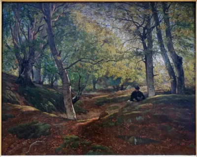 Hêtraie dans la forêt de Fontainebleau