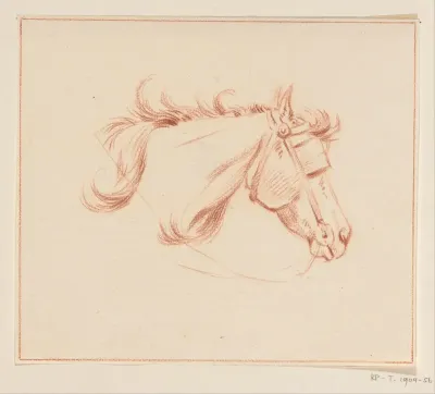 Heupen van een paard