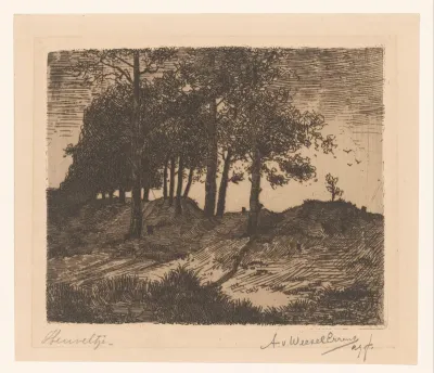 Heuvel met bomen