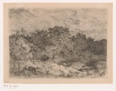 Heuvelachtig landschap met bomen in de wind
