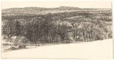 Heuvelachtig landschap met bomen