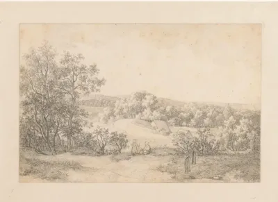 Heuvelachtig landschap met bomengroepen