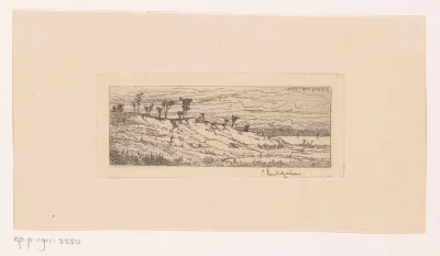 Heuvelachtig landschap met bomenrij