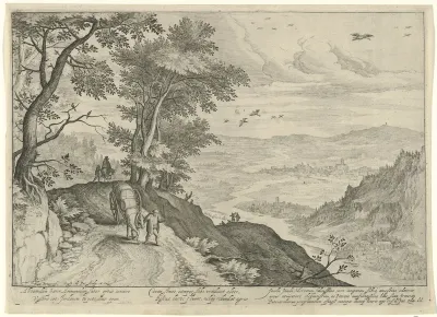 Heuvelachtig landschap met bospad