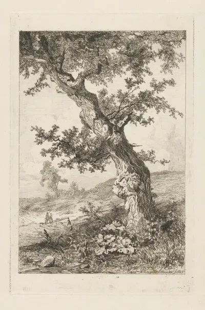 Heuvelachtig landschap met een scheve boom en twee wandelaars
