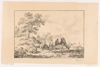 Heuvelachtig landschap met koeien en schapen