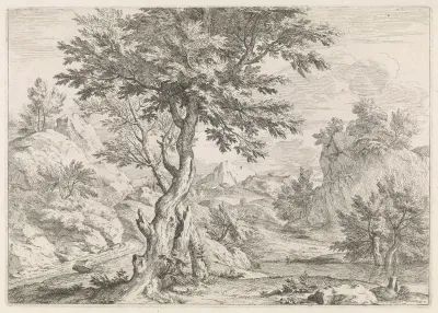 Heuvelachtig landschap met rotsen