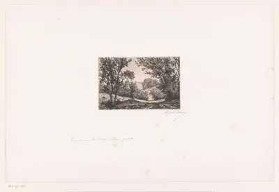 Heuvellandschap met begroeiing