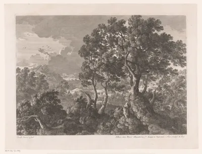 Heuvellandschap met bomen