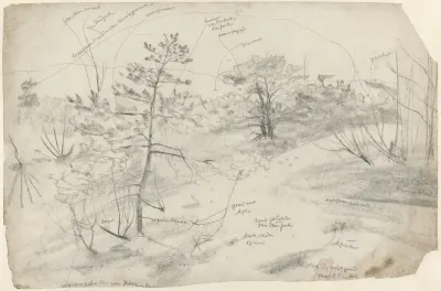 Heuvellandschap met bomen, met kleurnotities