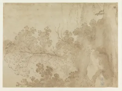 Heuvellandschap met bomen
