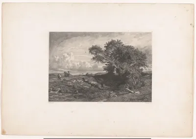 Heuvellandschap met boom en vijver