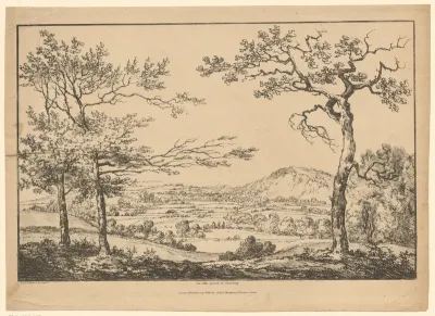 Heuvellandschap met drie bomen