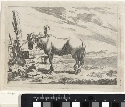 Heuvellandschap met een paard bij een drinkbak