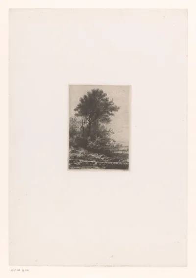 Heuvellandschap met hoge boom en een kerk op de achtergrond