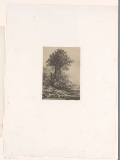 Heuvellandschap met hoge boom en een kerk op de achtergrond