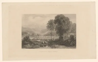 Heuvellandschap met koeien en een brug
