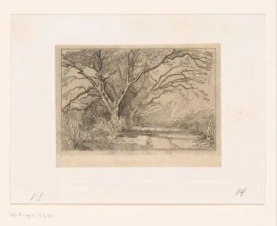 Heuvellandschap met notenbomen