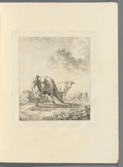 Heuvellandschap met runderen