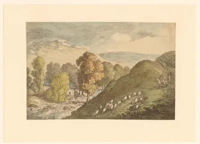 Heuvellandschap met schapen
