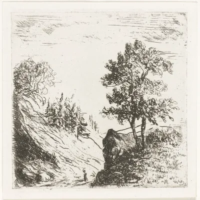 Heuvellandschap met twee bomen op rots