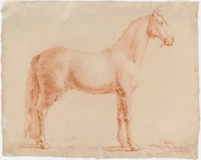 Hevonen, "Aga"
