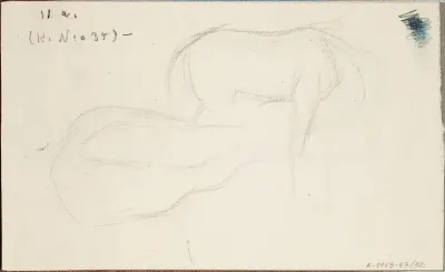 Hevonen, sivukuva ja takaa. Hevonen. Todenmäköisesti n. 1910.