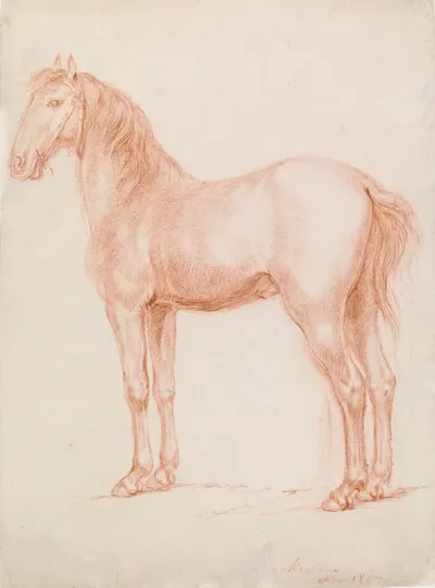 Hevonen